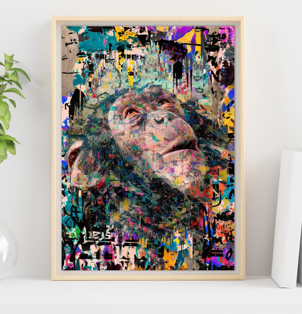 Le chimpanzé admiratif GP