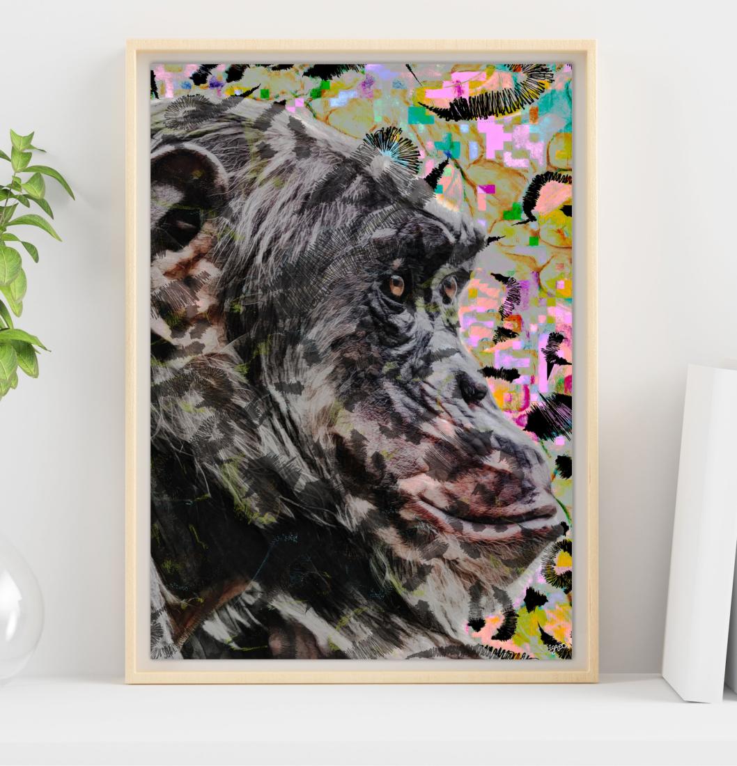 Le chimpanzé portrait
